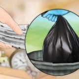 Bli av med vägglöss naturligt