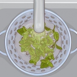 Använder oregano i köket