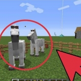 Uppfödning av hästar i minecraft