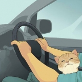 Reser med en katt