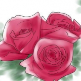 Växande rosor