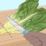 Hålla sallad färsk