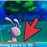 Evolve sliggoo