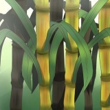 Plantera sockerrör