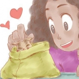 Tips för att ta hand om din sugar glider