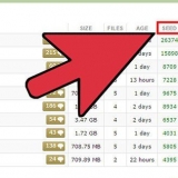 Använder torrents