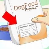 Lägga till fibrer till din hunds diet