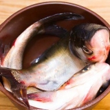Förbered fisken