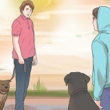 Förhindra en hund från att skälla på andra hundar