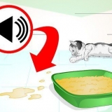 Förhindra din katt från att kissa på platser där det inte är tillåtet