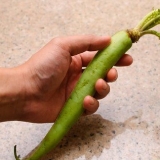 Förbereder wasabi