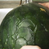 Frysande vattenmelon
