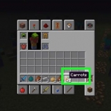 Plantera frön i minecraft