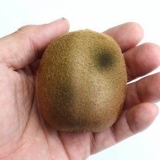 Se om en kiwi inte längre är bra