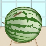 Se om en vattenmelon är ruttet