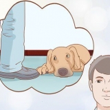 Se om din hund är deprimerad