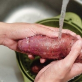 Laga sötpotatis