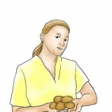 Odla sötpotatis