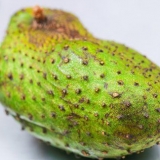Att göra soursop juice