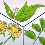 Förebygga tunga perioder: kan det göras naturligt?