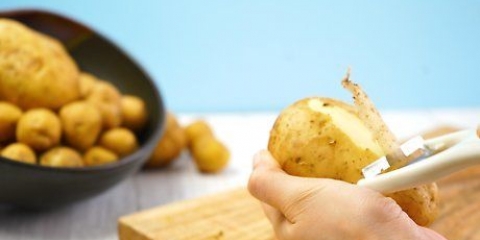 Blanchera potatis
