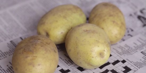 Förvara potatis