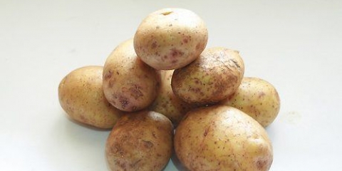 Frysning av potatis