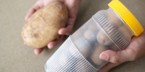 Potatis ben