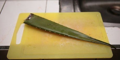 Att göra aloe vera juice