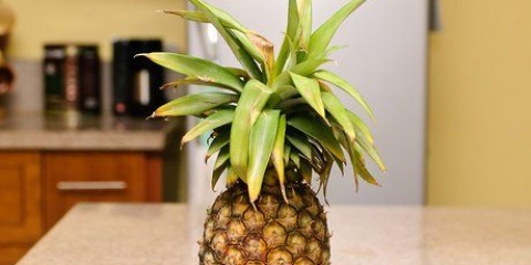 Att göra ananasjuice