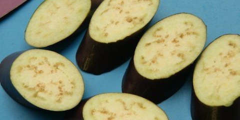 Förbereder aubergine