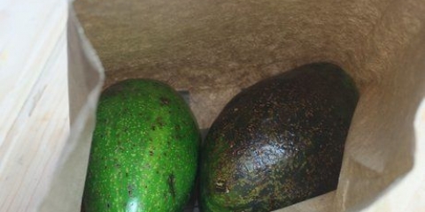 Lagra avokado