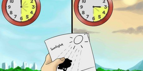 Skapa rabatter runt ett träd