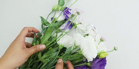 Torka blommor
