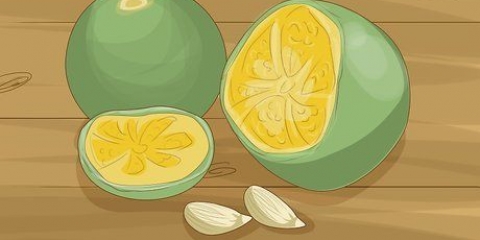 Calamondin växter