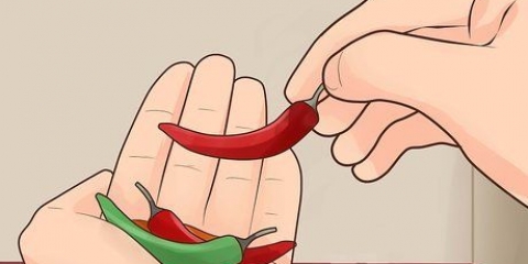 Odla chilipeppar