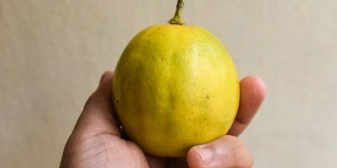 Mogna citroner