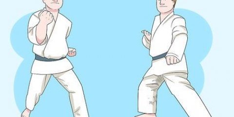 Förstå grunderna i karate