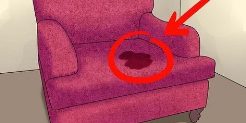 Ta bort lukten av katt- eller hundurin från stoppade möbler