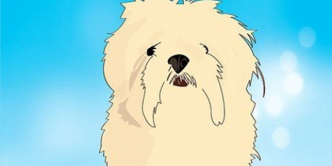 Identifiera dina adopterade blandraser