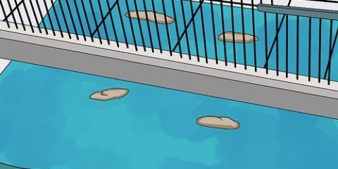 Behandling av diarré hos kakatier
