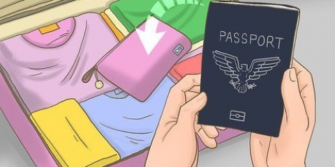 Går igenom den amerikanska tullen