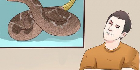 Förhindra en skallerormsattack