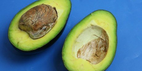 Äter en avokado