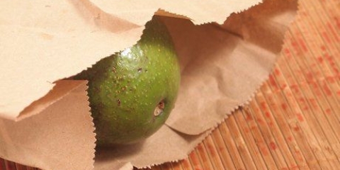 Mogna en avokado
