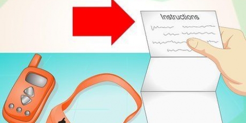 Använda ett elektroniskt träningshalsband