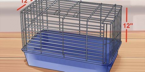 Att välja en bra hamsterbur