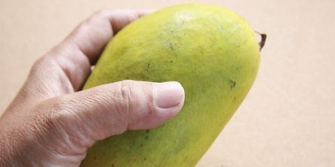 Att välja en bra mango