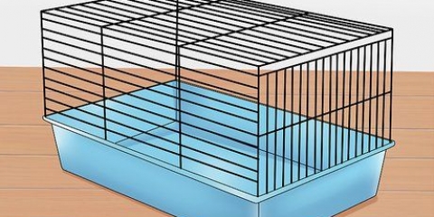 Tämja en hamster