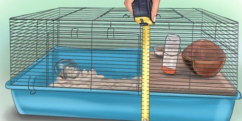 Sätta upp en hamsterbur